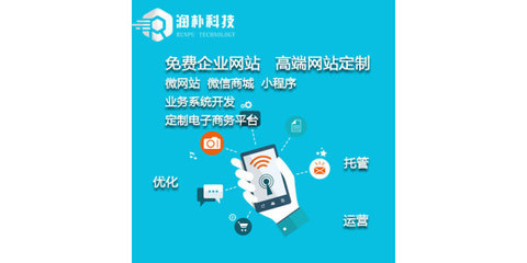 苏州润朴科技商城建设运营经验分享 构建高效电子商务平台的关键路径