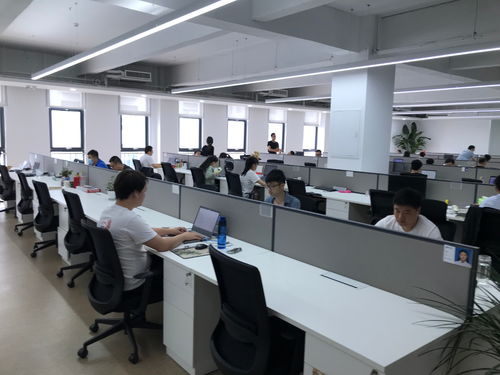 石家庄电子信息产业崛起 神玥软件坚持数字化，电商平台开发迎来黄金期