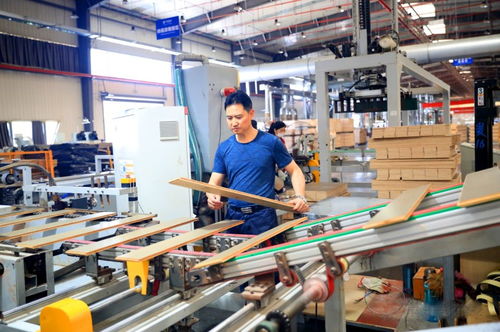 港南区木业产业未来发展方向与电子商务平台建设策略